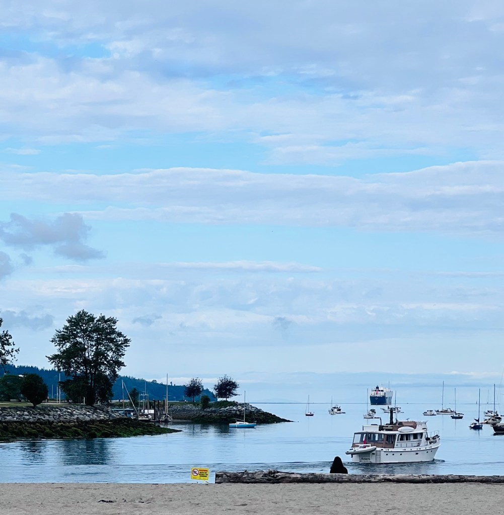 Taken on my walk on the Vancouver Seawall (from Sunset beach)